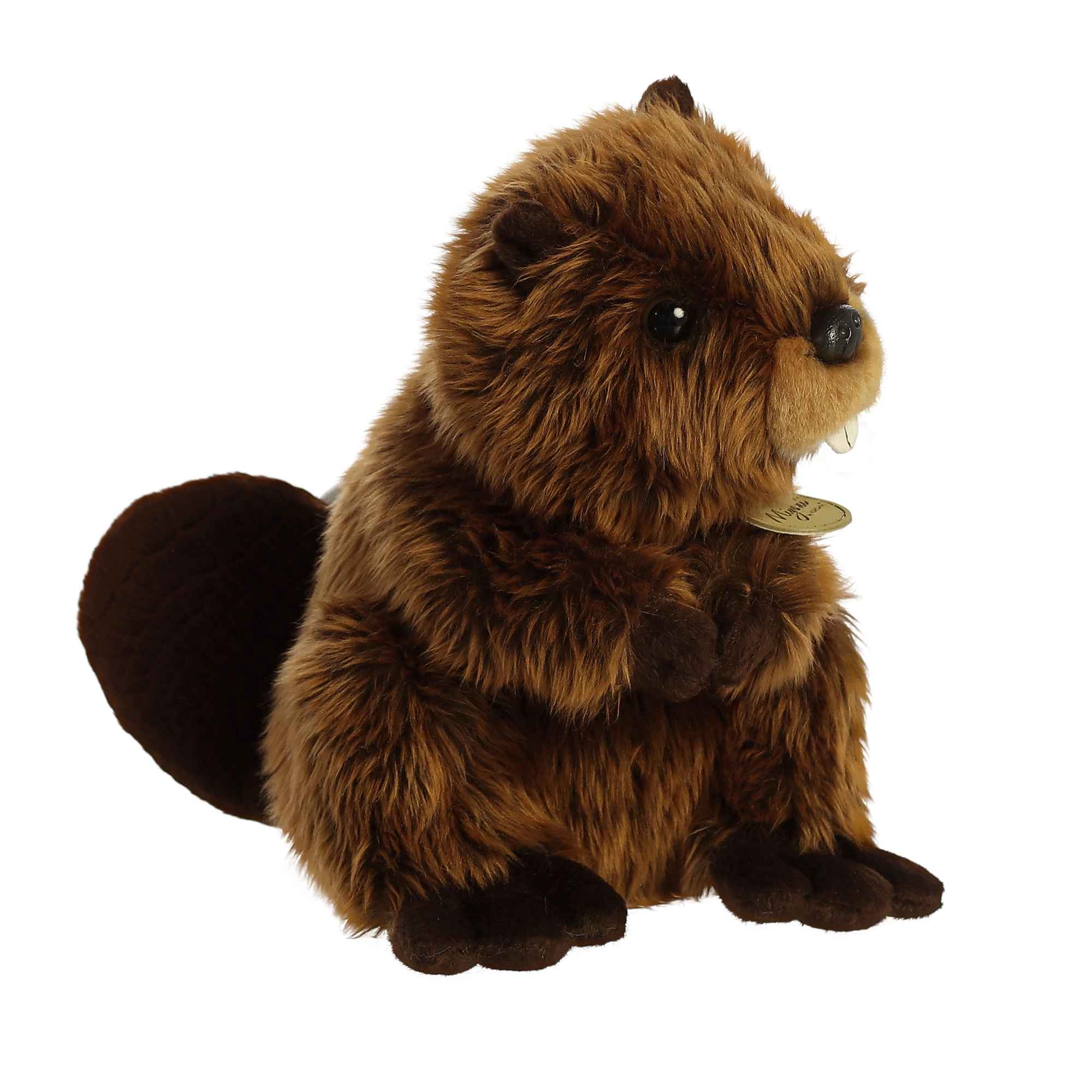 Peluche Aurora - Castor