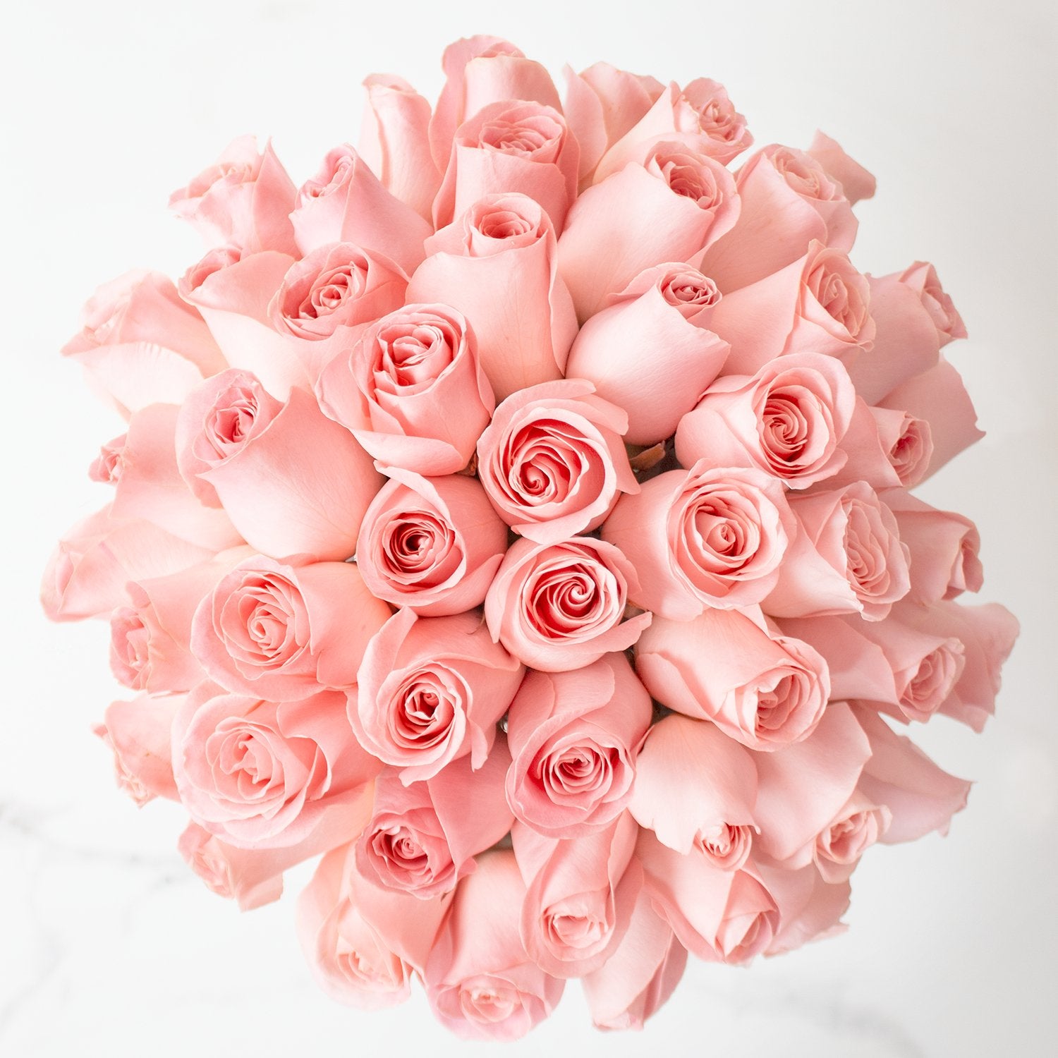 50 rosas (color de rosas a elegir) en florero de vidrio | Globos y Regalos Teleglobos.com.mx.