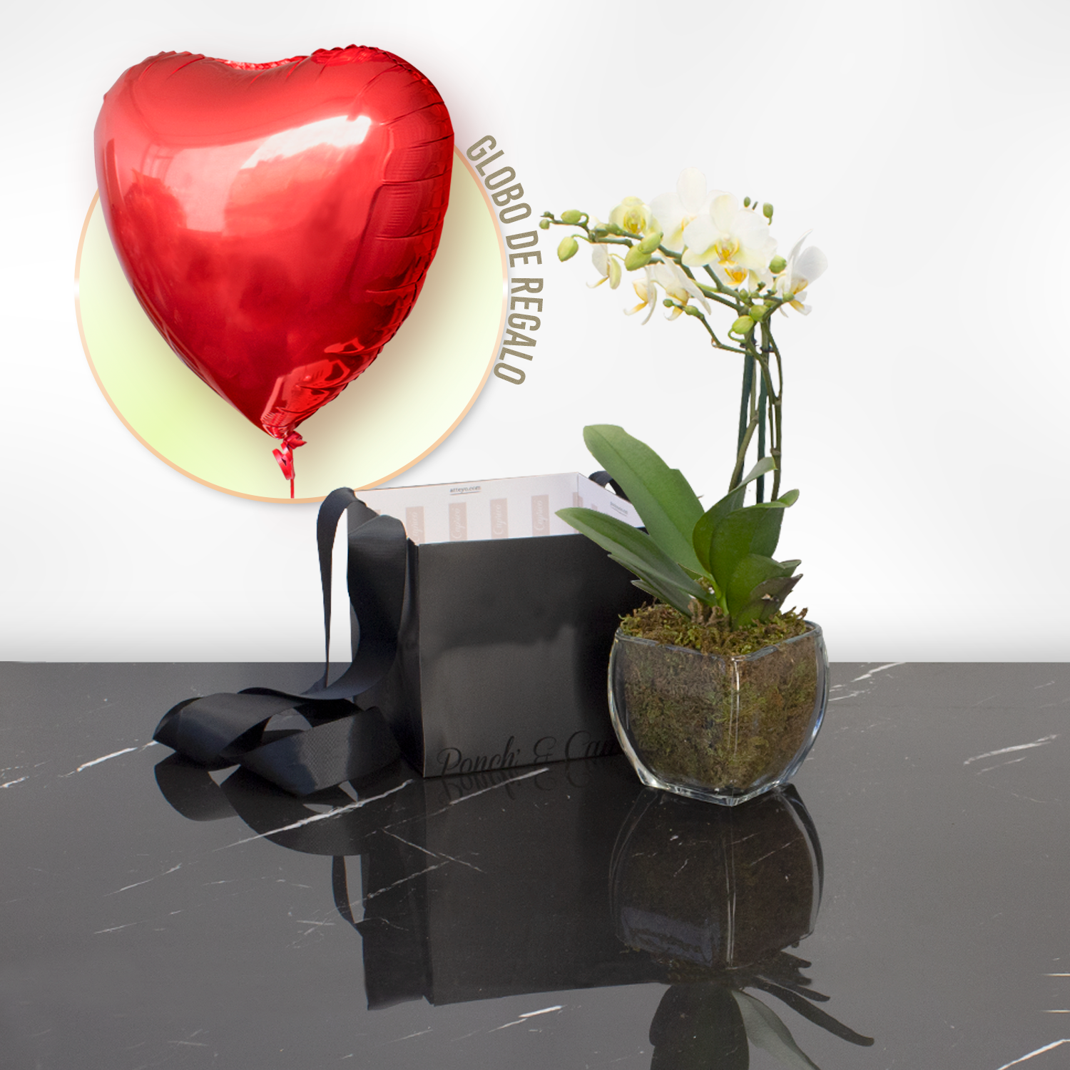 Orquídea Blanca - Dendrobium Mini - 2 tallos- SV