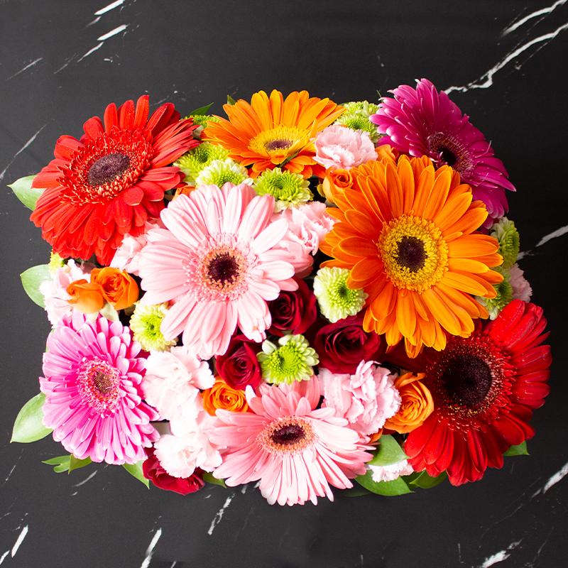 Canasta de Gerberas y Mini Rosas -PCAN016- | Globos y Regalos Teleglobos.com.mx.