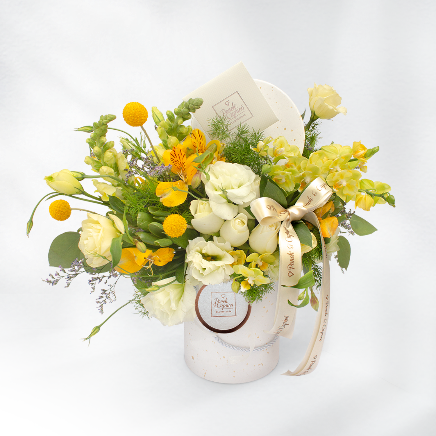 Domo Petit de Rosas Blancas, Mini Orquídeas Amarillas y Lisianthus Crema