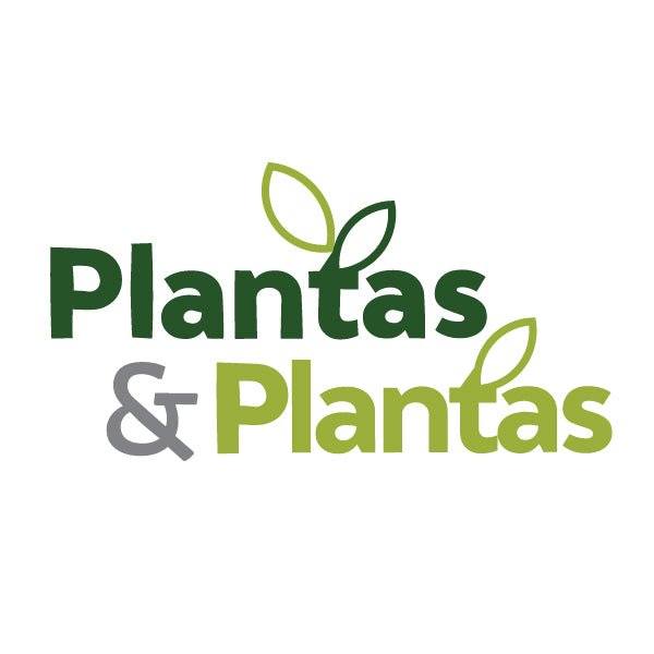P&Plantas | Globos y Regalos Teleglobos.com.mx.
